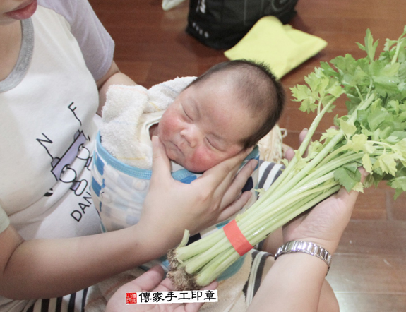 莊寶寶(桃園大園區到府嬰兒寶寶滿月剃頭理髮、免費到府嬰兒剃胎毛儀式吉祥話)。到府剃頭剃胎毛主持、專業拍照、DVD光碟、證書。★購買「臍帶章、肚臍章、胎毛筆刷印章」贈送：剃頭、收涎、抓周，三選一。2015.11.12 照片10