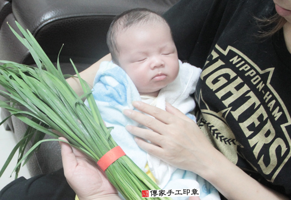郭寶寶(桃園中壢區到府嬰兒寶寶滿月剃頭理髮、免費到府嬰兒剃胎毛儀式吉祥話)。到府剃頭剃胎毛主持、專業拍照、DVD光碟、證書。★購買「臍帶章、肚臍章、胎毛筆刷印章」贈送：剃頭、收涎、抓周，三選一。2015.11.12 照片9