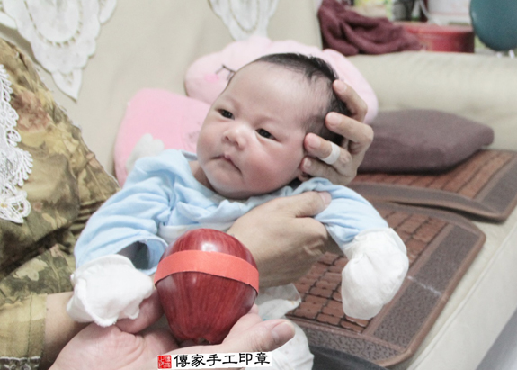 蔡寶寶(新北土城區到府嬰兒寶寶滿月剃頭理髮、免費到府嬰兒剃胎毛儀式吉祥話)。到府剃頭剃胎毛主持、專業拍照、DVD光碟、證書。★購買「臍帶章、肚臍章、胎毛筆刷印章」贈送：剃頭、收涎、抓周，三選一。2015.11.14 照片6