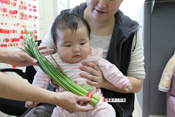 張寶寶（桃園八德區到府嬰兒寶寶滿月剃頭理髮、免費到府嬰兒剃胎毛儀式吉祥話)。到府剃頭剃胎毛主持、專業拍照、DVD光碟、證書。★購買「臍帶章、肚臍章、胎毛筆刷印章」贈送：剃頭、收涎、抓周，三選一。2013.11.24 照片5