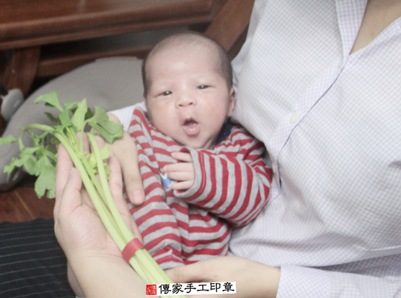 呂寶寶(新北汐止區到府嬰兒寶寶滿月剃頭理髮、免費到府嬰兒剃胎毛儀式吉祥話)。到府剃頭剃胎毛主持、專業拍照、DVD光碟、證書。★購買「臍帶章、肚臍章、胎毛筆刷印章」贈送：剃頭、收涎、抓周，三選一。2015.11.14 照片11