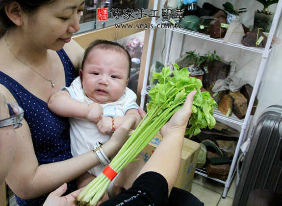 蔡寶寶(新北市永和區嬰兒寶寶滿月剃頭理髮、免費嬰兒剃胎毛儀式吉祥話)。中國風會場，爸媽寶貝免費穿「日中韓」古裝禮服。專業拍照、DVD光碟、證書。★購買「臍帶章、肚臍章、胎毛筆刷印章」贈送：剃頭、收涎、抓周，三選一。 2014.06.12 照片8