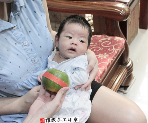 大寶哥寶寶(新北三重區到府嬰兒寶寶滿月剃頭理髮、免費到府嬰兒剃胎毛儀式吉祥話)。到府剃頭剃胎毛主持、專業拍照、DVD光碟、證書。★購買「臍帶章、肚臍章、胎毛筆刷印章」贈送：剃頭、收涎、抓周，三選一。2015.11.15 照片8