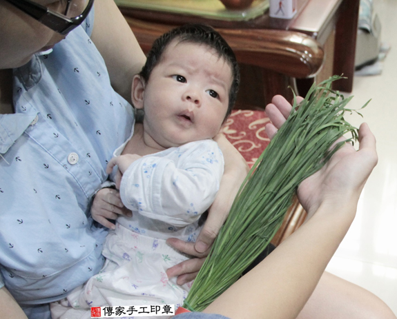 大寶哥寶寶(新北三重區到府嬰兒寶寶滿月剃頭理髮、免費到府嬰兒剃胎毛儀式吉祥話)。到府剃頭剃胎毛主持、專業拍照、DVD光碟、證書。★購買「臍帶章、肚臍章、胎毛筆刷印章」贈送：剃頭、收涎、抓周，三選一。2015.11.15 照片11