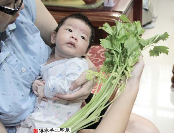 大寶哥寶寶(新北三重區到府嬰兒寶寶滿月剃頭理髮、免費到府嬰兒剃胎毛儀式吉祥話)。到府剃頭剃胎毛主持、專業拍照、DVD光碟、證書。★購買「臍帶章、肚臍章、胎毛筆刷印章」贈送：剃頭、收涎、抓周，三選一。2015.11.15 照片12