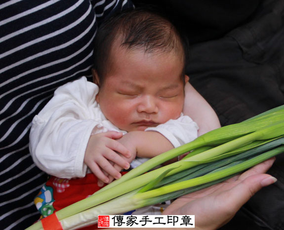 劉寶寶(新北永和區到府嬰兒寶寶滿月剃頭理髮、免費到府嬰兒剃胎毛儀式吉祥話)。到府剃頭剃胎毛主持、專業拍照、DVD光碟、證書。★購買「臍帶章、肚臍章、胎毛筆刷印章」贈送：剃頭、收涎、抓周，三選一。 2014.10.02 照片12