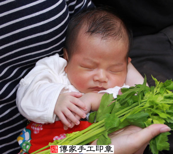 劉寶寶(新北永和區到府嬰兒寶寶滿月剃頭理髮、免費到府嬰兒剃胎毛儀式吉祥話)。到府剃頭剃胎毛主持、專業拍照、DVD光碟、證書。★購買「臍帶章、肚臍章、胎毛筆刷印章」贈送：剃頭、收涎、抓周，三選一。 2014.10.02 照片13