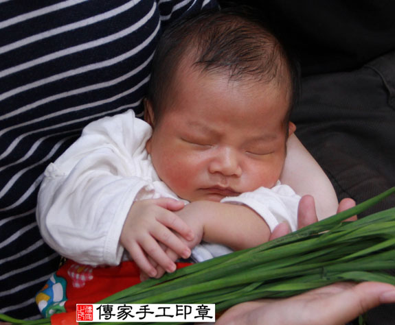 劉寶寶(新北永和區到府嬰兒寶寶滿月剃頭理髮、免費到府嬰兒剃胎毛儀式吉祥話)。到府剃頭剃胎毛主持、專業拍照、DVD光碟、證書。★購買「臍帶章、肚臍章、胎毛筆刷印章」贈送：剃頭、收涎、抓周，三選一。 2014.10.02 照片14