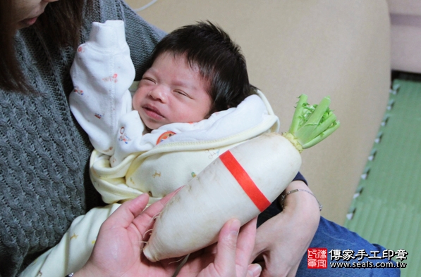 剃胎毛、滿月剃頭、嬰兒剃頭、嬰兒理髮、嬰兒剃髮、嬰兒剃胎毛、嬰兒滿月剃頭、寶寶剃頭、剃胎毛儀式、剃胎毛吉祥話、滿月剃頭儀式、滿月剃頭吉祥話、寶寶剃胎毛、寶寶滿月剃頭理髮、 新北土城區剃胎毛、新北土城區滿月剃頭、 新北土城區嬰兒剃頭剃胎毛、新北土城區嬰兒理髮、新北土城區嬰兒剃髮、藍寶寶(新北土城區到府嬰兒寶寶滿月剃頭理髮、免費到府嬰兒剃胎毛儀式吉祥話)。到府剃頭剃胎毛主持、專業拍照、DVD光碟、證書。★購買「臍帶章、肚臍章、胎毛筆刷印章」贈送：剃頭、收涎、抓周，三選一。2016.02.28 照片13