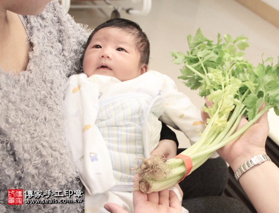 剃胎毛、滿月剃頭、嬰兒剃頭、嬰兒理髮、嬰兒剃髮、嬰兒剃胎毛、嬰兒滿月剃頭、寶寶剃頭、剃胎毛儀式、剃胎毛吉祥話、滿月剃頭儀式、滿月剃頭吉祥話、寶寶剃胎毛、寶寶滿月剃頭理髮、 新北三重區剃胎毛、新北三重區滿月剃頭、 新北三重區嬰兒剃頭剃胎毛、新北三重區嬰兒理髮、新北三重區嬰兒剃髮、汪寶寶(新北三重區到府嬰兒寶寶滿月剃頭理髮、免費到府嬰兒剃胎毛儀式吉祥話)。到府剃頭剃胎毛主持、專業拍照、DVD光碟、證書。★購買「臍帶章、肚臍章、胎毛筆刷印章」贈送：剃頭、收涎、抓周，三選一。2016.01.21 照片12