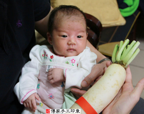 林寶寶(新北永和區到府嬰兒寶寶滿月剃頭理髮、免費到府嬰兒剃胎毛儀式吉祥話)。到府剃頭剃胎毛主持、專業拍照、DVD光碟、證書。★購買「臍帶章、肚臍章、胎毛筆刷印章」贈送：剃頭、收涎、抓周，三選一。2014.11.15 照片11