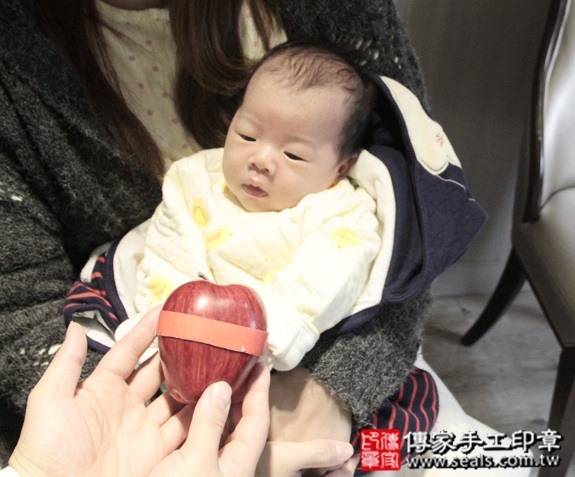 剃胎毛、滿月剃頭、嬰兒剃頭、嬰兒理髮、嬰兒剃髮、嬰兒剃胎毛、嬰兒滿月剃頭、寶寶剃頭、剃胎毛儀式、剃胎毛吉祥話、滿月剃頭儀式、滿月剃頭吉祥話、寶寶剃胎毛、寶寶滿月剃頭理髮、 新北中和區剃胎毛、新北中和區滿月剃頭、 新北中和區嬰兒剃頭剃胎毛、新北中和區嬰兒理髮、新北中和區嬰兒剃髮、 朱寶寶(新北中和區到府嬰兒寶寶滿月剃頭理髮、免費到府嬰兒剃胎毛儀式吉祥話)。到府剃頭剃胎毛主持、專業拍照、DVD光碟、證書。★購買「臍帶章、肚臍章、胎毛筆刷印章」贈送：剃頭、收涎、抓周，三選一。2015.12.12 照片8