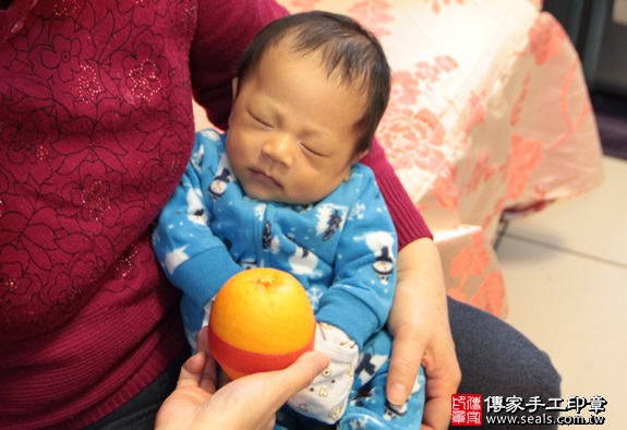 剃胎毛、滿月剃頭、嬰兒剃頭、嬰兒理髮、嬰兒剃髮、嬰兒剃胎毛、嬰兒滿月剃頭、寶寶剃頭、剃胎毛儀式、剃胎毛吉祥話、滿月剃頭儀式、滿月剃頭吉祥話、寶寶剃胎毛、寶寶滿月剃頭理髮、 新北永和區剃胎毛、新北永和區滿月剃頭、 新北永和區嬰兒剃頭剃胎毛、新北永和區嬰兒理髮、新北永和區嬰兒剃髮、陳家寶寶們(新北永和區到府嬰兒寶寶滿月剃頭理髮、免費到府嬰兒剃胎毛儀式吉祥話)。到府剃頭剃胎毛主持、專業拍照、DVD光碟、證書。★購買「臍帶章、肚臍章、胎毛筆刷印章」贈送：剃頭、收涎、抓周，三選一。2016.01.23 照片13