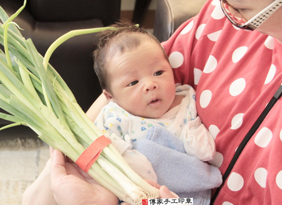 潘寶寶(台北南港區到府嬰兒寶寶滿月剃頭理髮、免費到府嬰兒剃胎毛儀式吉祥話)。到府剃頭剃胎毛主持、專業拍照、DVD光碟、證書。★購買「臍帶章、肚臍章、胎毛筆刷印章」贈送：剃頭、收涎、抓周，三選一。2015.11.22 照片11