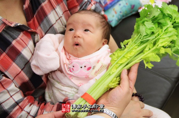 剃胎毛、滿月剃頭、嬰兒剃頭、嬰兒理髮、嬰兒剃髮、嬰兒剃胎毛、嬰兒滿月剃頭、寶寶剃頭、剃胎毛儀式、剃胎毛吉祥話、滿月剃頭儀式、滿月剃頭吉祥話、寶寶剃胎毛、寶寶滿月剃頭理髮、 新北蘆州區剃胎毛、新北蘆州區滿月剃頭、 新北蘆州區嬰兒剃頭剃胎毛、新北蘆州區嬰兒理髮、新北蘆州區嬰兒剃髮、陳寶寶(新北蘆州區到府嬰兒寶寶滿月剃頭理髮、免費到府嬰兒剃胎毛儀式吉祥話)。到府剃頭剃胎毛主持、專業拍照、DVD光碟、證書。★購買「臍帶章、肚臍章、胎毛筆刷印章」贈送：剃頭、收涎、抓周，三選一。2016.02.14 照片12