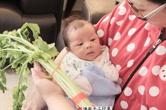 潘寶寶(台北南港區到府嬰兒寶寶滿月剃頭理髮、免費到府嬰兒剃胎毛儀式吉祥話)。到府剃頭剃胎毛主持、專業拍照、DVD光碟、證書。★購買「臍帶章、肚臍章、胎毛筆刷印章」贈送：剃頭、收涎、抓周，三選一。2015.11.22 照片12