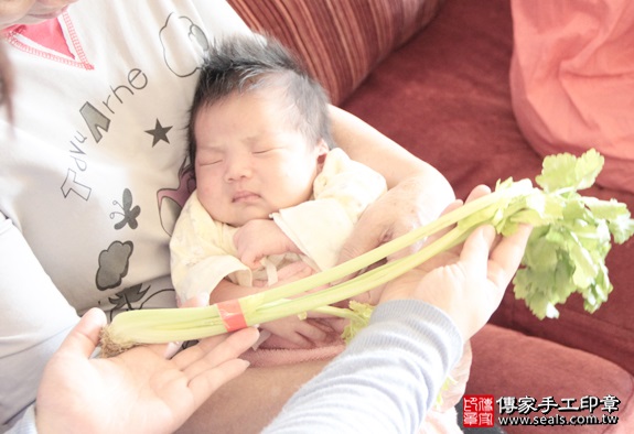 剃胎毛、滿月剃頭、嬰兒剃頭、嬰兒理髮、嬰兒剃髮、嬰兒剃胎毛、嬰兒滿月剃頭、寶寶剃頭、剃胎毛儀式、剃胎毛吉祥話、滿月剃頭儀式、滿月剃頭吉祥話、寶寶剃胎毛、寶寶滿月剃頭理髮、 新北中和區剃胎毛、新北中和區滿月剃頭、 新北中和區嬰兒剃頭剃胎毛、新北中和區嬰兒理髮、新北中和區嬰兒剃髮、孫寶寶(新北中和區到府嬰兒寶寶滿月剃頭理髮、免費到府嬰兒剃胎毛儀式吉祥話)。到府剃頭剃胎毛主持、專業拍照、DVD光碟、證書。★購買「臍帶章、肚臍章、胎毛筆刷印章」贈送：剃頭、收涎、抓周，三選一。2016.03.05 照片10