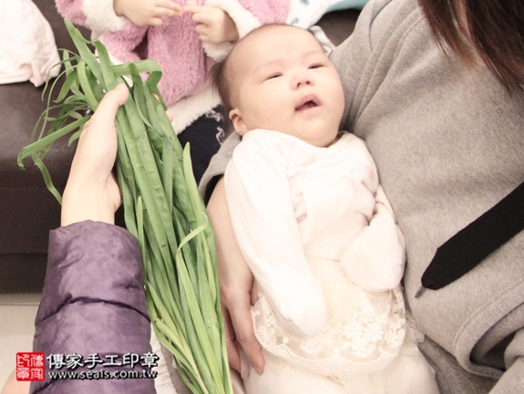 剃胎毛、滿月剃頭、嬰兒剃頭、嬰兒理髮、嬰兒剃髮、嬰兒剃胎毛、嬰兒滿月剃頭、寶寶剃頭、剃胎毛儀式、剃胎毛吉祥話、滿月剃頭儀式、滿月剃頭吉祥話、寶寶剃胎毛、寶寶滿月剃頭理髮、 新北泰山區剃胎毛、新北泰山區滿月剃頭、 新北泰山區嬰兒剃頭剃胎毛、新北泰山區嬰兒理髮、新北泰山區嬰兒剃髮、蔡寶寶(新北泰山區到府嬰兒寶寶滿月剃頭理髮、免費到府嬰兒剃胎毛儀式吉祥話)。到府剃頭剃胎毛主持、專業拍照、DVD光碟、證書。★購買「臍帶章、肚臍章、胎毛筆刷印章」贈送：剃頭、收涎、抓周，三選一。2016.01.23 照片10