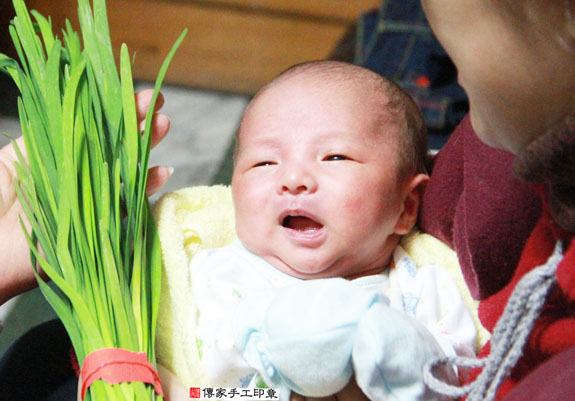 賴寶寶(新北永和區到府嬰兒寶寶滿月剃頭理髮、免費到府嬰兒剃胎毛儀式吉祥話)。到府剃頭剃胎毛主持、專業拍照、DVD光碟、證書。★購買「臍帶章、肚臍章、胎毛筆刷印章」贈送：剃頭、收涎、抓周，三選一。2015.03.13 照片8