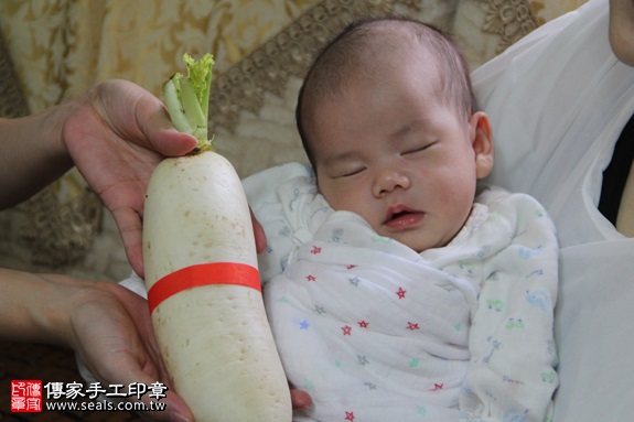 剃胎毛、滿月剃頭、嬰兒剃頭、嬰兒理髮、嬰兒剃髮、嬰兒剃胎毛、嬰兒滿月剃頭、寶寶剃頭、剃胎毛儀式、剃胎毛吉祥話、滿月剃頭儀式、滿月剃頭吉祥話、寶寶剃胎毛、寶寶滿月剃頭理髮、 新北永和區剃胎毛、新北永和區滿月剃頭、 新北永和區嬰兒剃頭剃胎毛、新北永和區嬰兒理髮、新北永和區嬰兒剃髮、周寶寶(新北永和區到府嬰兒寶寶滿月剃頭理髮、免費到府嬰兒剃胎毛儀式吉祥話)。到府剃頭剃胎毛主持、專業拍照、DVD光碟、證書。★購買「臍帶章、肚臍章、胎毛筆刷印章」贈送：剃頭、收涎、抓周，三選一。2016.11.12  照片13