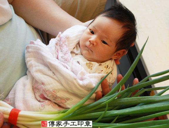 張寶寶(新北永和區到府嬰兒寶寶滿月剃頭理髮、免費到府嬰兒剃胎毛儀式吉祥話)。到府剃頭剃胎毛主持、專業拍照、DVD光碟、證書。★購買「臍帶章、肚臍章、胎毛筆刷印章」贈送：剃頭、收涎、抓周，三選一。2014.11.23 照片9