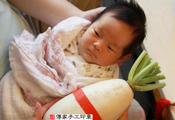 張寶寶(新北永和區到府嬰兒寶寶滿月剃頭理髮、免費到府嬰兒剃胎毛儀式吉祥話)。到府剃頭剃胎毛主持、專業拍照、DVD光碟、證書。★購買「臍帶章、肚臍章、胎毛筆刷印章」贈送：剃頭、收涎、抓周，三選一。2014.11.23 照片12