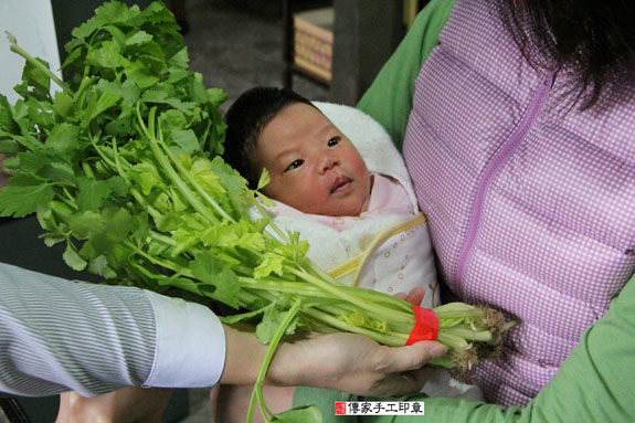 林寶寶(新北新莊區到府嬰兒寶寶滿月剃頭理髮、免費到府嬰兒剃胎毛儀式吉祥話)。到府剃頭剃胎毛主持、專業拍照、DVD光碟、證書。★購買「臍帶章、肚臍章、胎毛筆刷印章」贈送：剃頭、收涎、抓周，三選一。 2013.12.30 照片9