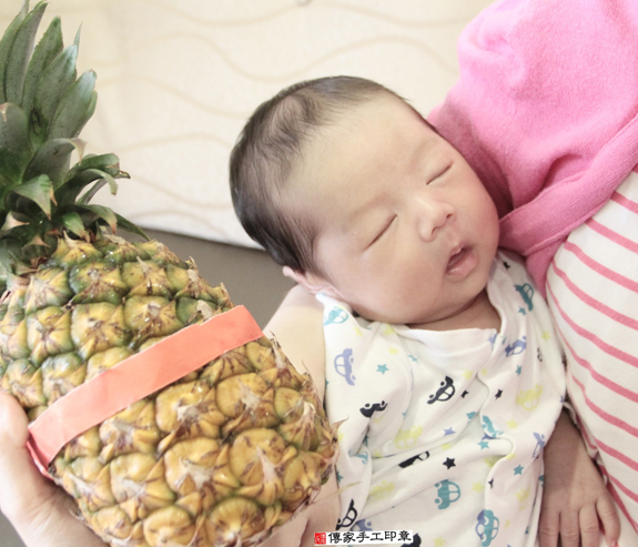 潘寶寶(新北中和區到府嬰兒寶寶滿月剃頭理髮、免費到府嬰兒剃胎毛儀式吉祥話)。到府剃頭剃胎毛主持、專業拍照、DVD光碟、證書。★購買「臍帶章、肚臍章、胎毛筆刷印章」贈送：剃頭、收涎、抓周，三選一。2015.11.23 照片14