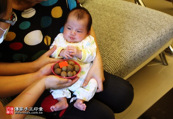 剃胎毛、滿月剃頭、嬰兒剃頭、嬰兒理髮、嬰兒剃髮、嬰兒剃胎毛、嬰兒滿月剃頭、寶寶剃頭、剃胎毛儀式、剃胎毛吉祥話、滿月剃頭儀式、滿月剃頭吉祥話、寶寶剃胎毛、寶寶滿月剃頭理髮、 台北文山區剃胎毛、台北文山區滿月剃頭、 台北文山區嬰兒剃頭剃胎毛、台北文山區嬰兒理髮、台北文山區嬰兒剃髮、蔡寶寶(台北文山區到府嬰兒寶寶滿月剃頭理髮、免費到府嬰兒剃胎毛儀式吉祥話)。到府剃頭剃胎毛主持、專業拍照、DVD光碟、證書。★購買「臍帶章、肚臍章、胎毛筆刷印章」贈送：剃頭、收涎、抓周，三選一。2016.05.16  照片7