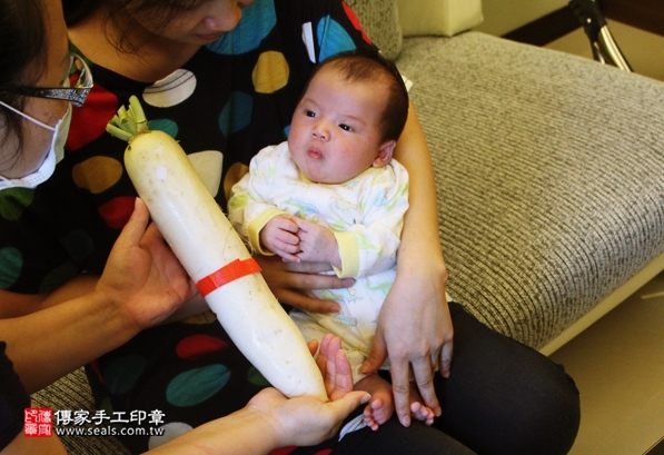 剃胎毛、滿月剃頭、嬰兒剃頭、嬰兒理髮、嬰兒剃髮、嬰兒剃胎毛、嬰兒滿月剃頭、寶寶剃頭、剃胎毛儀式、剃胎毛吉祥話、滿月剃頭儀式、滿月剃頭吉祥話、寶寶剃胎毛、寶寶滿月剃頭理髮、 台北文山區剃胎毛、台北文山區滿月剃頭、 台北文山區嬰兒剃頭剃胎毛、台北文山區嬰兒理髮、台北文山區嬰兒剃髮、蔡寶寶(台北文山區到府嬰兒寶寶滿月剃頭理髮、免費到府嬰兒剃胎毛儀式吉祥話)。到府剃頭剃胎毛主持、專業拍照、DVD光碟、證書。★購買「臍帶章、肚臍章、胎毛筆刷印章」贈送：剃頭、收涎、抓周，三選一。2016.05.16  照片13