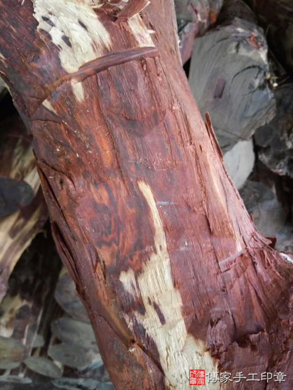 雞血紅檀木的原木照片2